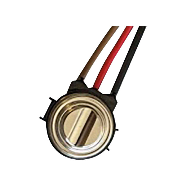 Pastille pour batterie à eau